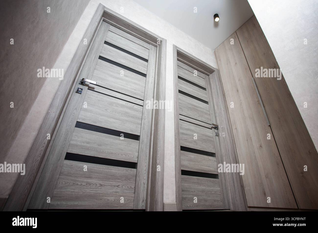 Deux portes grises modernes avec inserts en verre pour entrer et sortir des chambres de l'appartement Banque D'Images