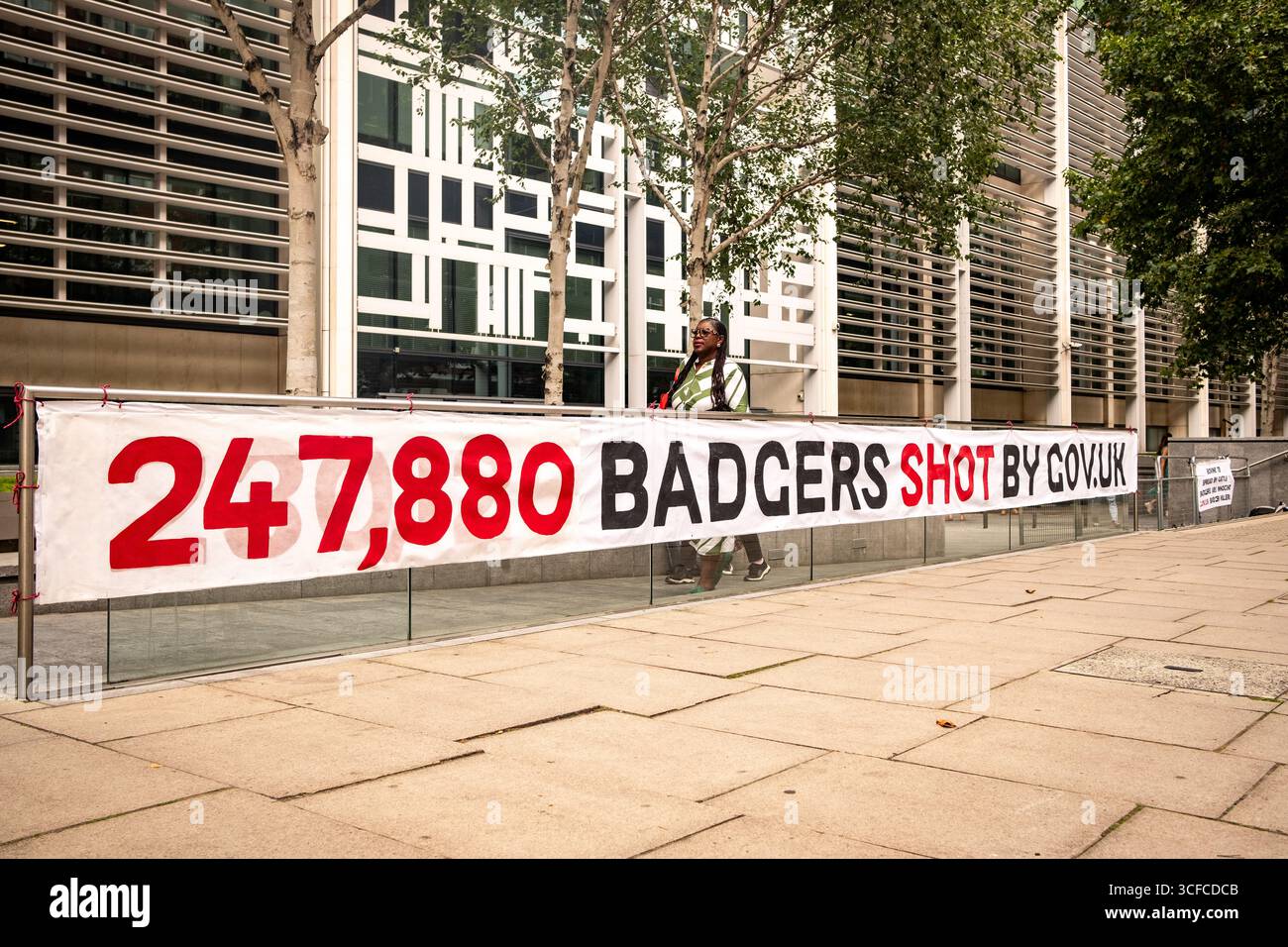 LONDRES- 14 AOÛT 2025 : signes de protestation devant le Home Office au SW ! Contre l'abattage des blaireaux dans la campagne britannique Banque D'Images