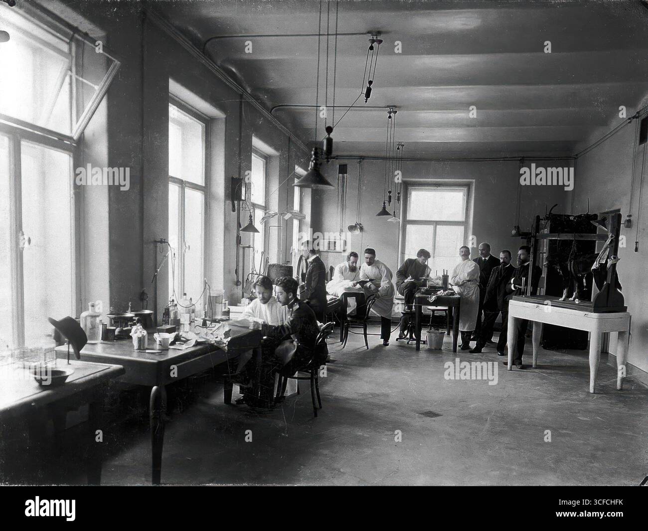 Dix membres du personnel qui étudient et réalisent des expériences sur des chiens au Département de physiologie de l'Institut impérial de médecine expérimentale, Saint-Pétersbourg, 1904. Banque D'Images