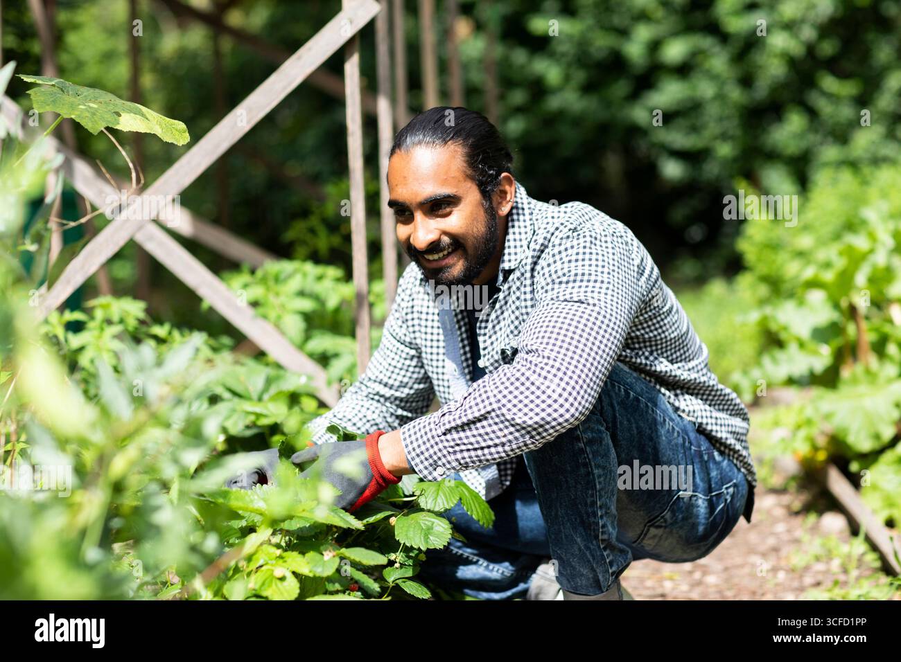 Un homme avec une barbe squat dans un jardin luxuriant tout en s'occupant des plantes par une journée ensoleillée. Allemagne Banque D'Images