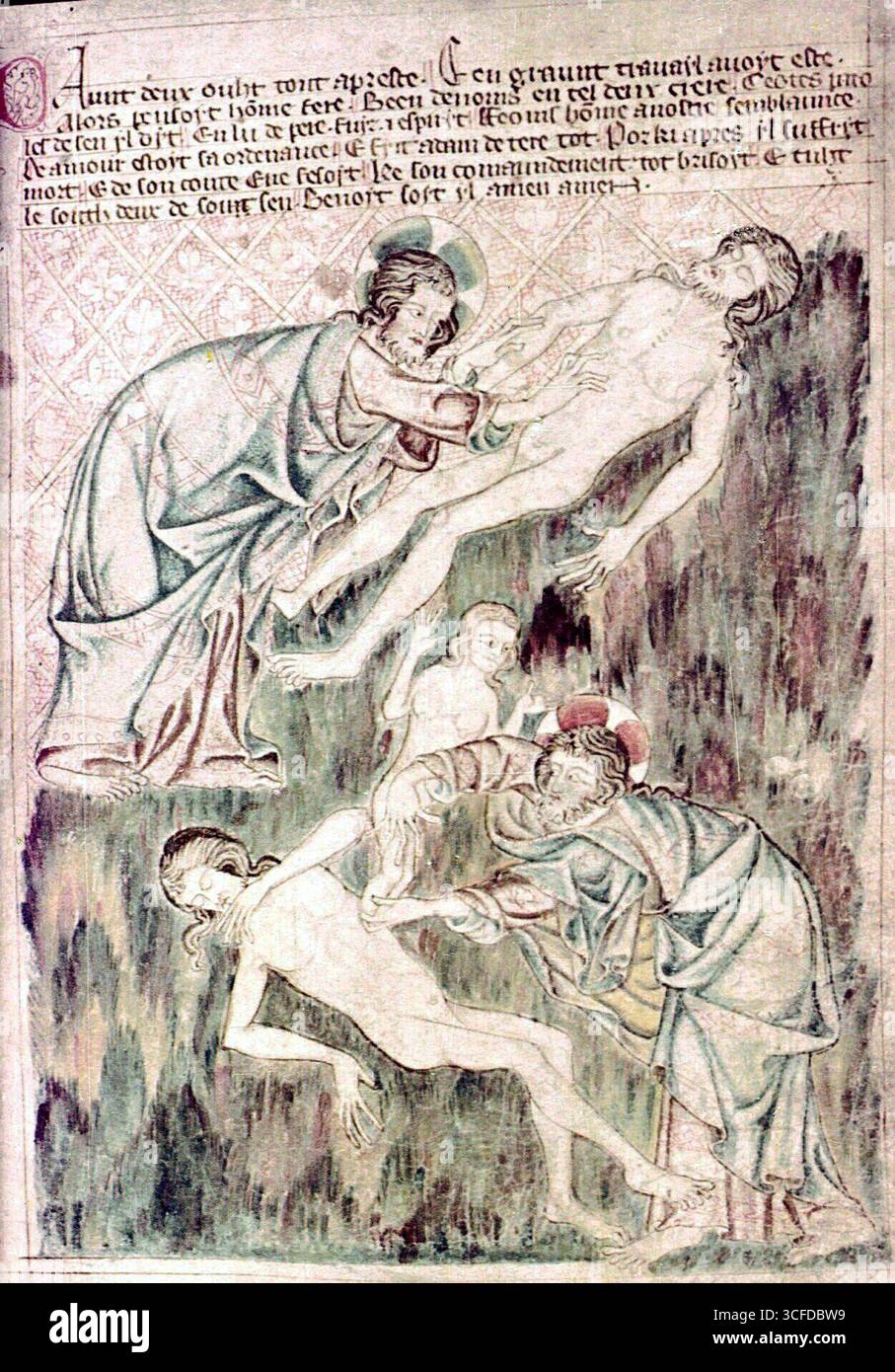Création d'Adam & Eve (Holkham Bible - XIVe siècle. Anglais). Banque D'Images