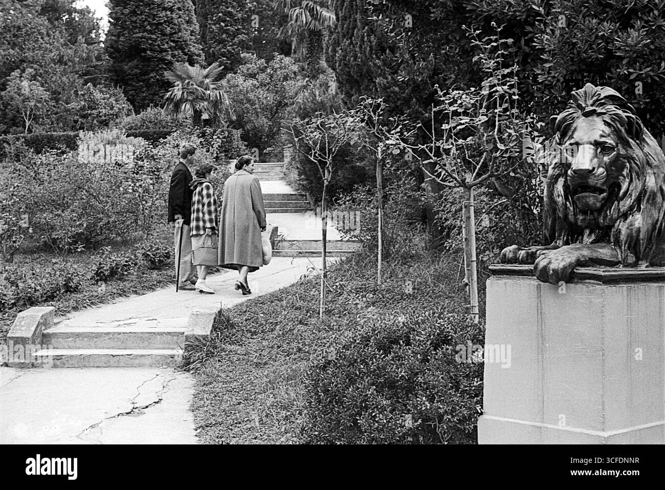 Sotchi, URSS - 1er septembre 1957 : sculpture de lion sur piédestal dans le parc Arboretum Banque D'Images Sotchi, URSS - 1er septembre 1957 : sculpture de lion sur piédestal dans le parc Arboretum Banque D'Images