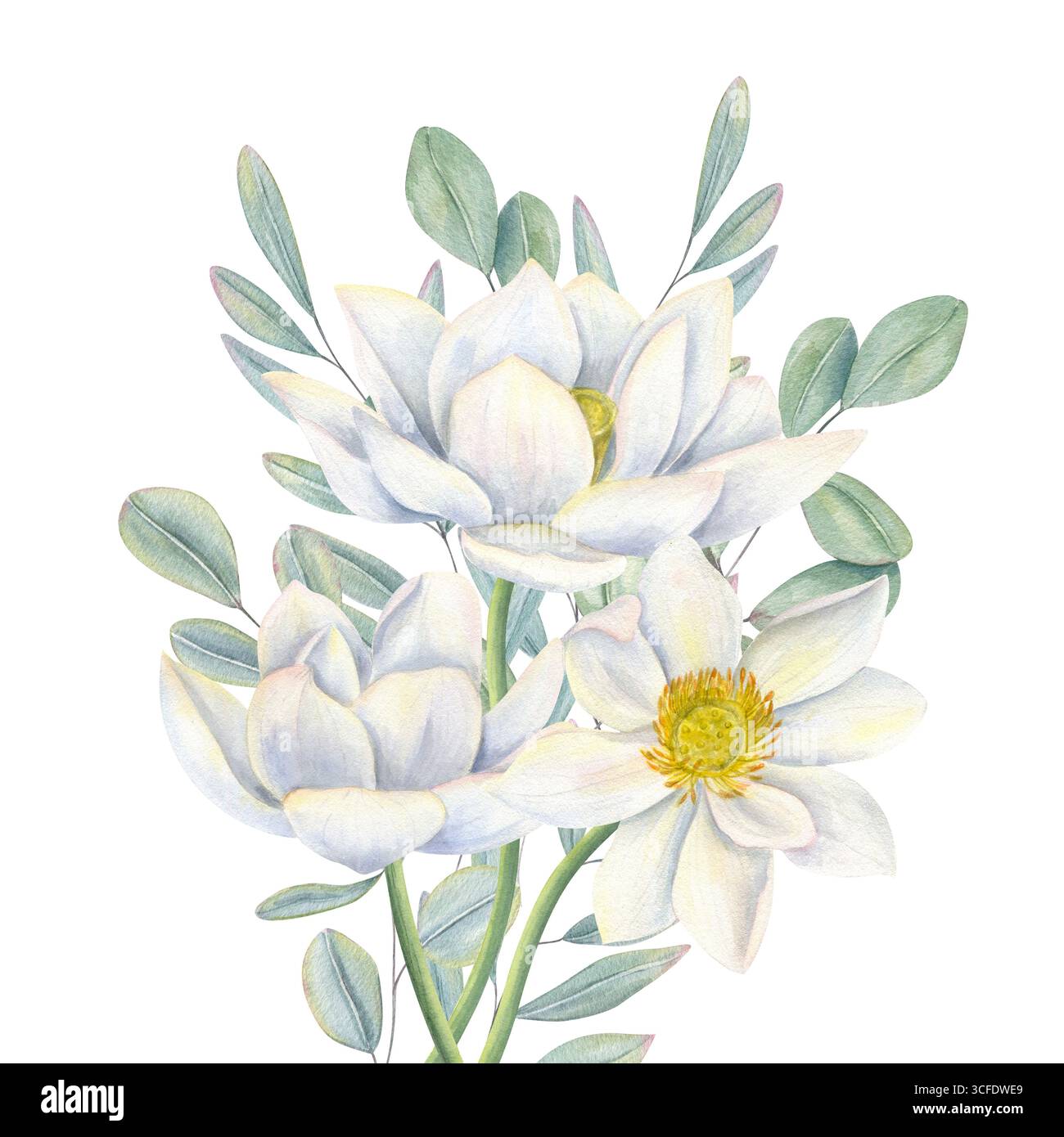 Lotus blancs et feuilles d'eucalyptus illustration aquarelle de bouquet sur fond isolé. Nénuphars, composition du feuillage vert Banque D'Images