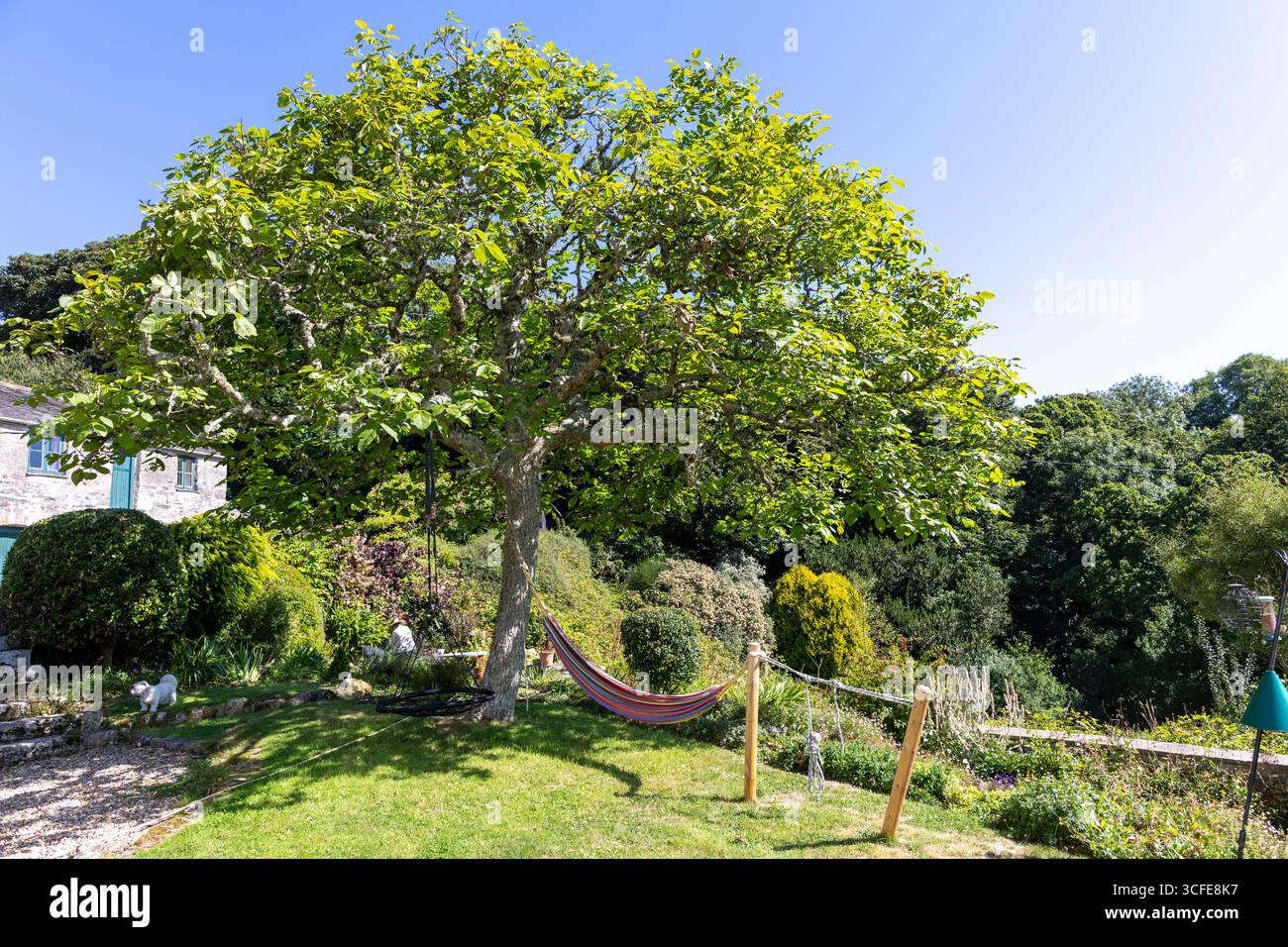 Un jardin de Cornouailles avec un hamac Banque D'Images
