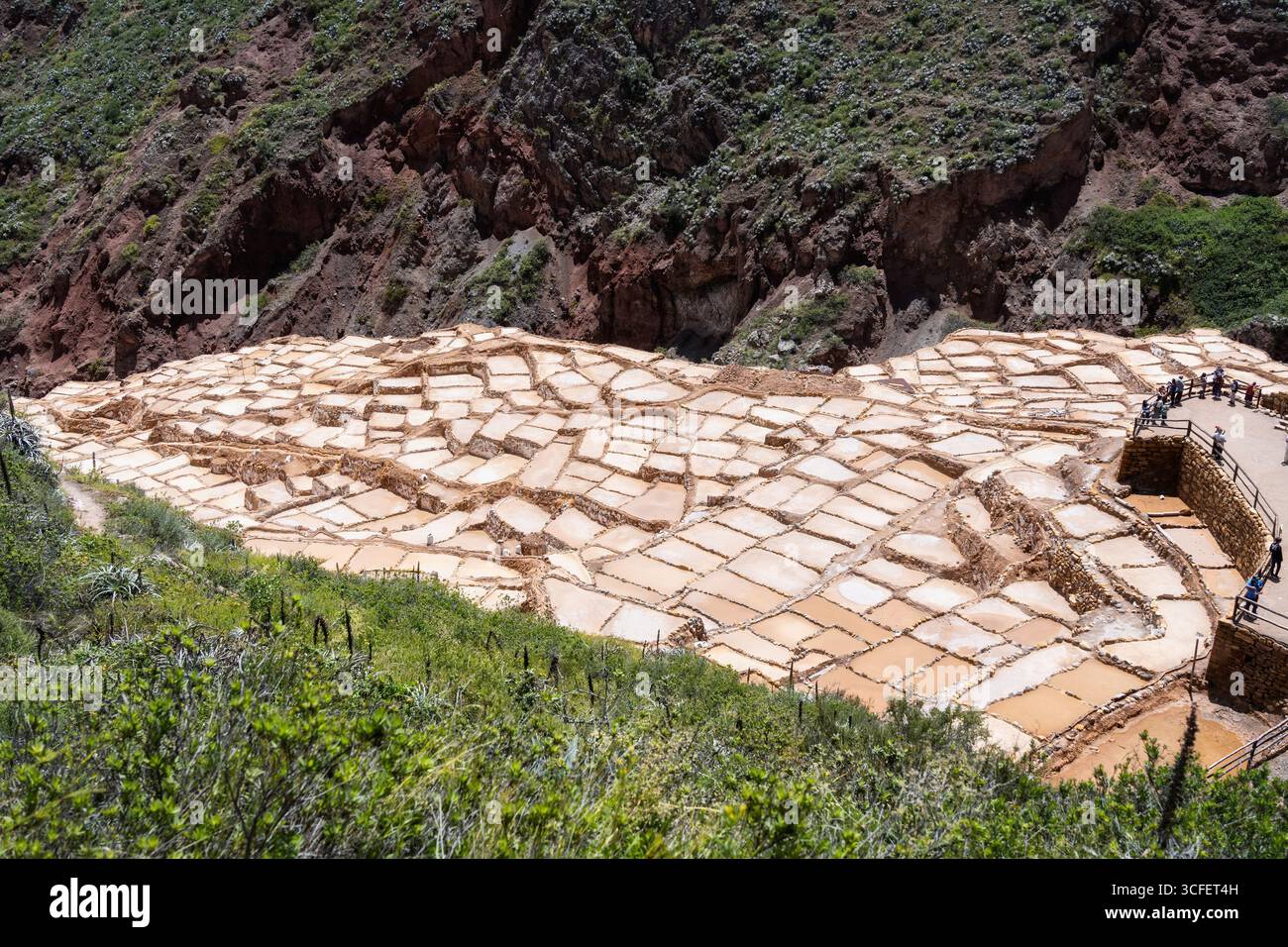 Cusco, Pérou - 15 mars 2025 : les étangs salants de Maras descendent une colline en terrasses dans la Vallée sacrée du Pérou. Banque D'Images