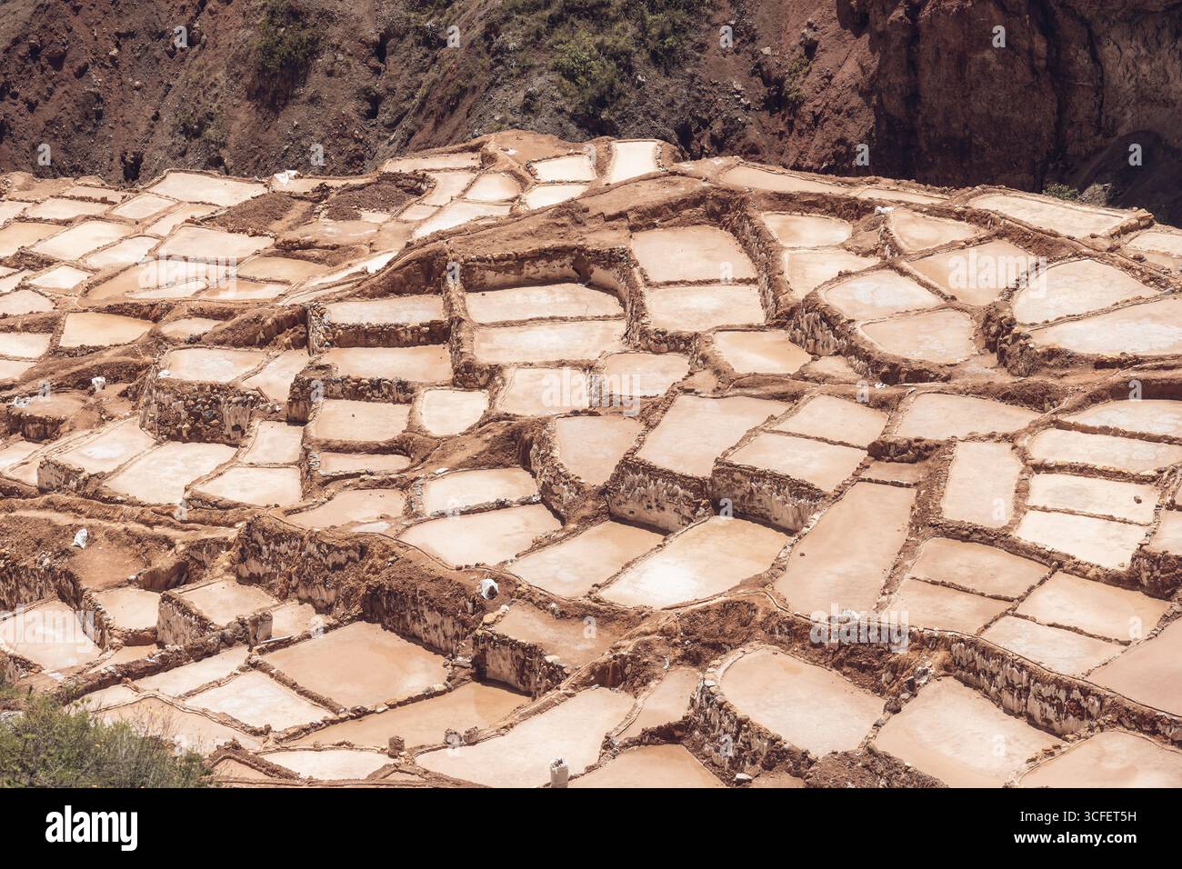 Les étangs salants de Maras descendent une colline en terrasses dans la Vallée sacrée du Pérou. Banque D'Images