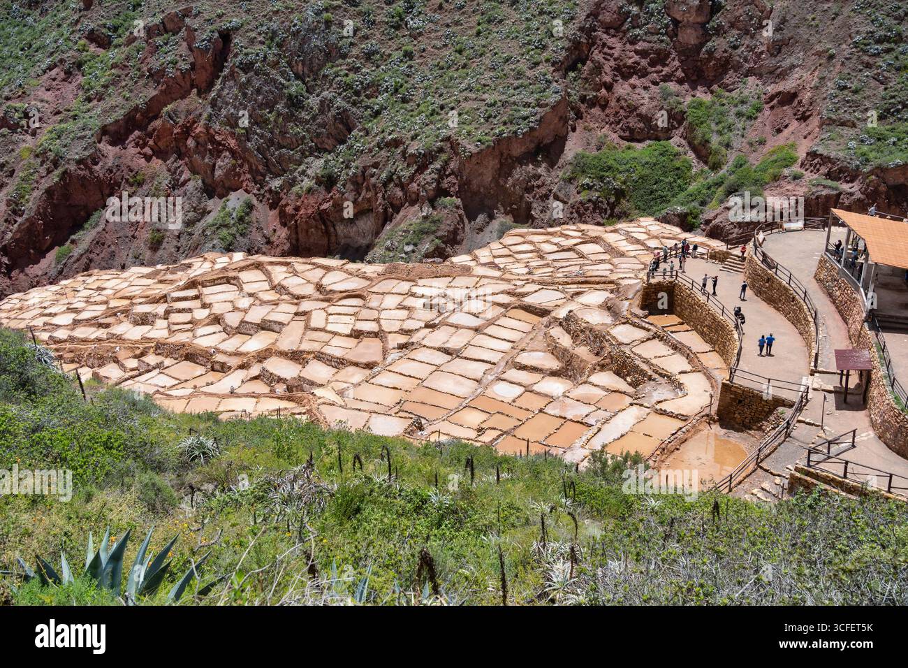 Cusco, Pérou - 15 mars 2025 : les étangs salants de Maras descendent une colline en terrasses dans la Vallée sacrée du Pérou. Banque D'Images