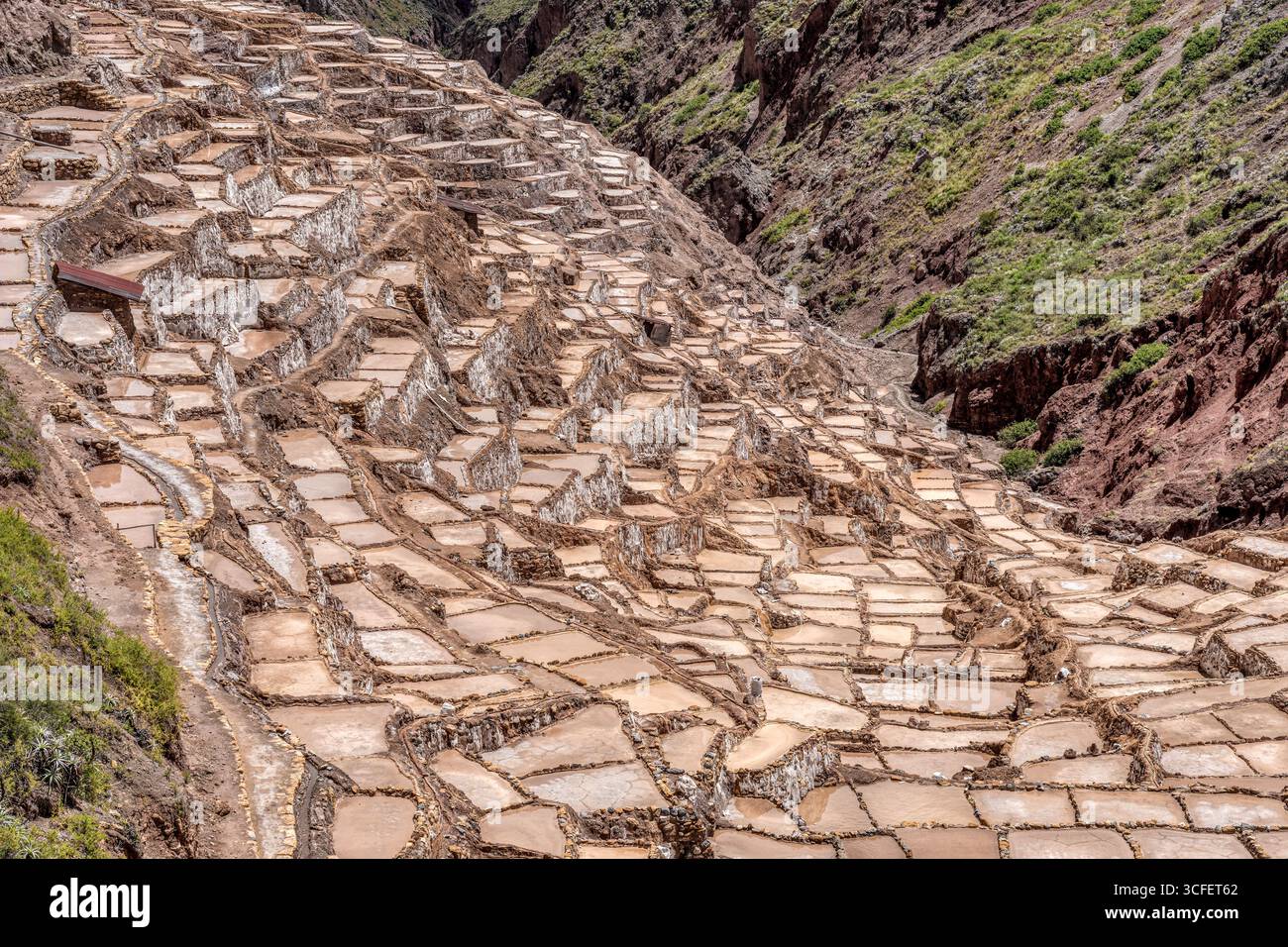 Les étangs salants de Maras descendent une colline en terrasses dans la Vallée sacrée du Pérou. Banque D'Images