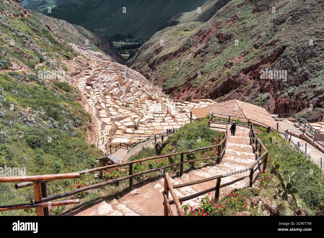 Cusco, Pérou - 15 mars 2025 : les étangs salants de Maras descendent une colline en terrasses dans la Vallée sacrée du Pérou. Banque D'Images