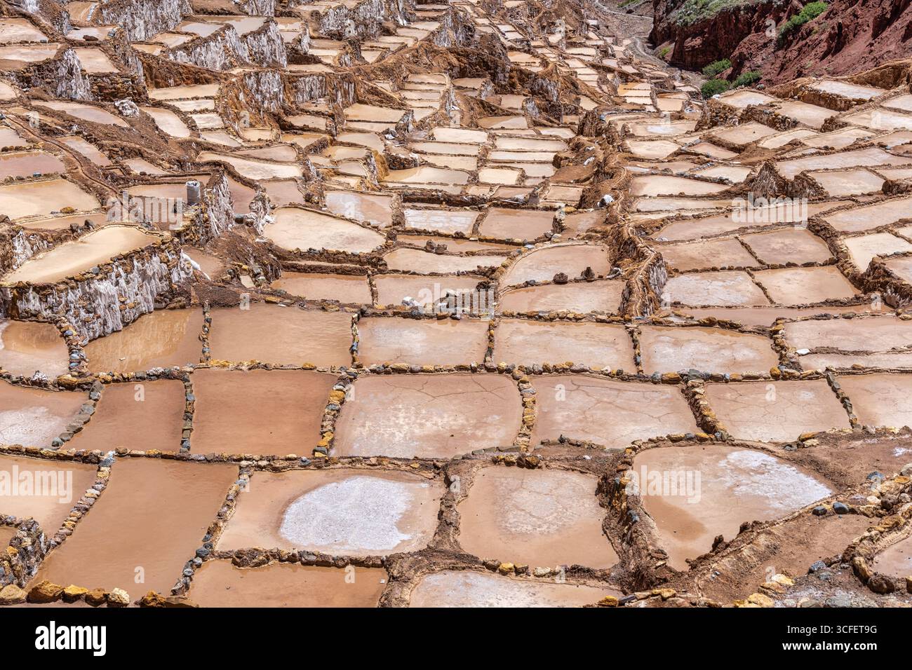 Les étangs salants de Maras descendent une colline en terrasses dans la Vallée sacrée du Pérou. Banque D'Images