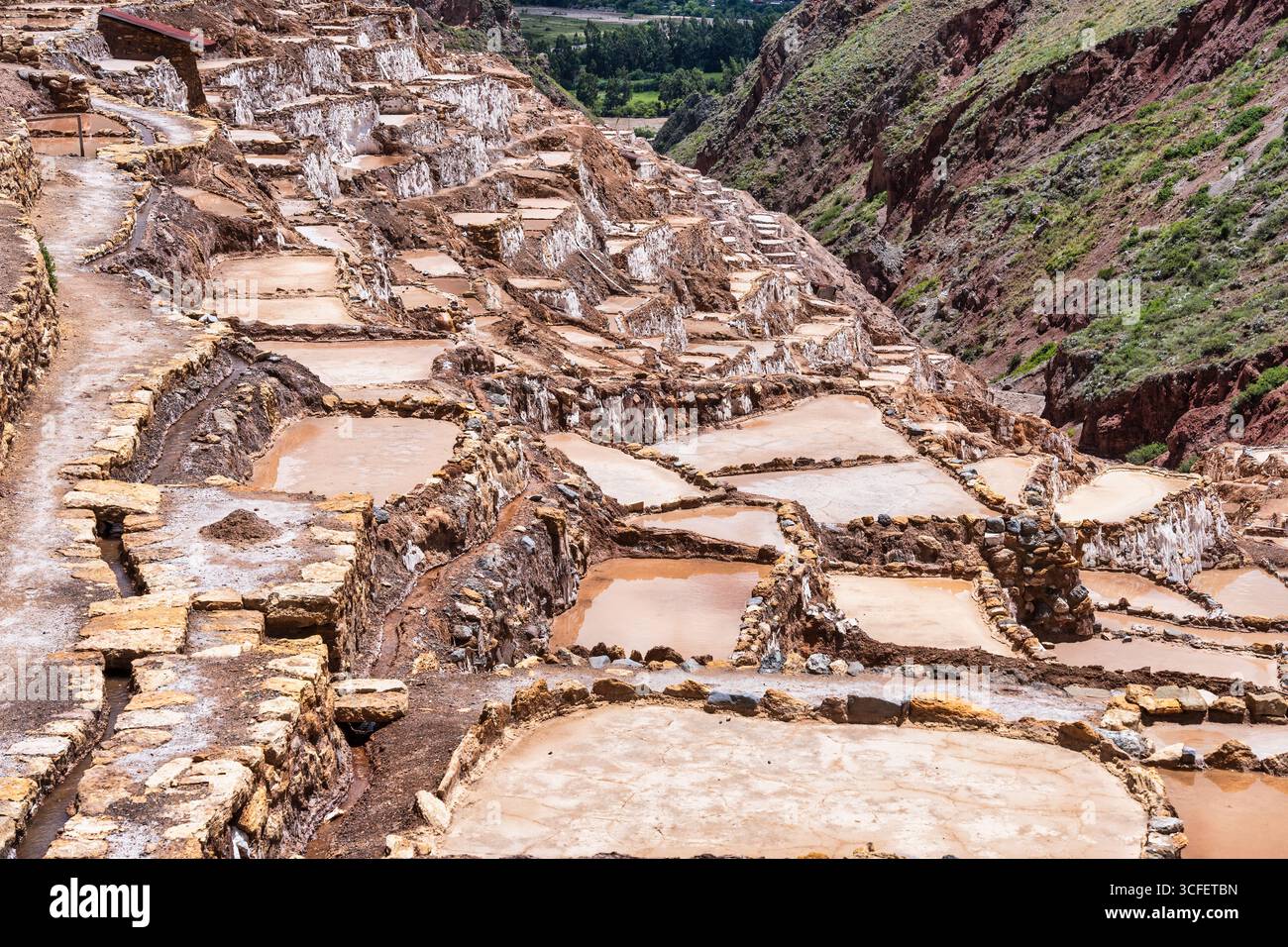 Les étangs salants de Maras descendent une colline en terrasses dans la Vallée sacrée du Pérou. Banque D'Images