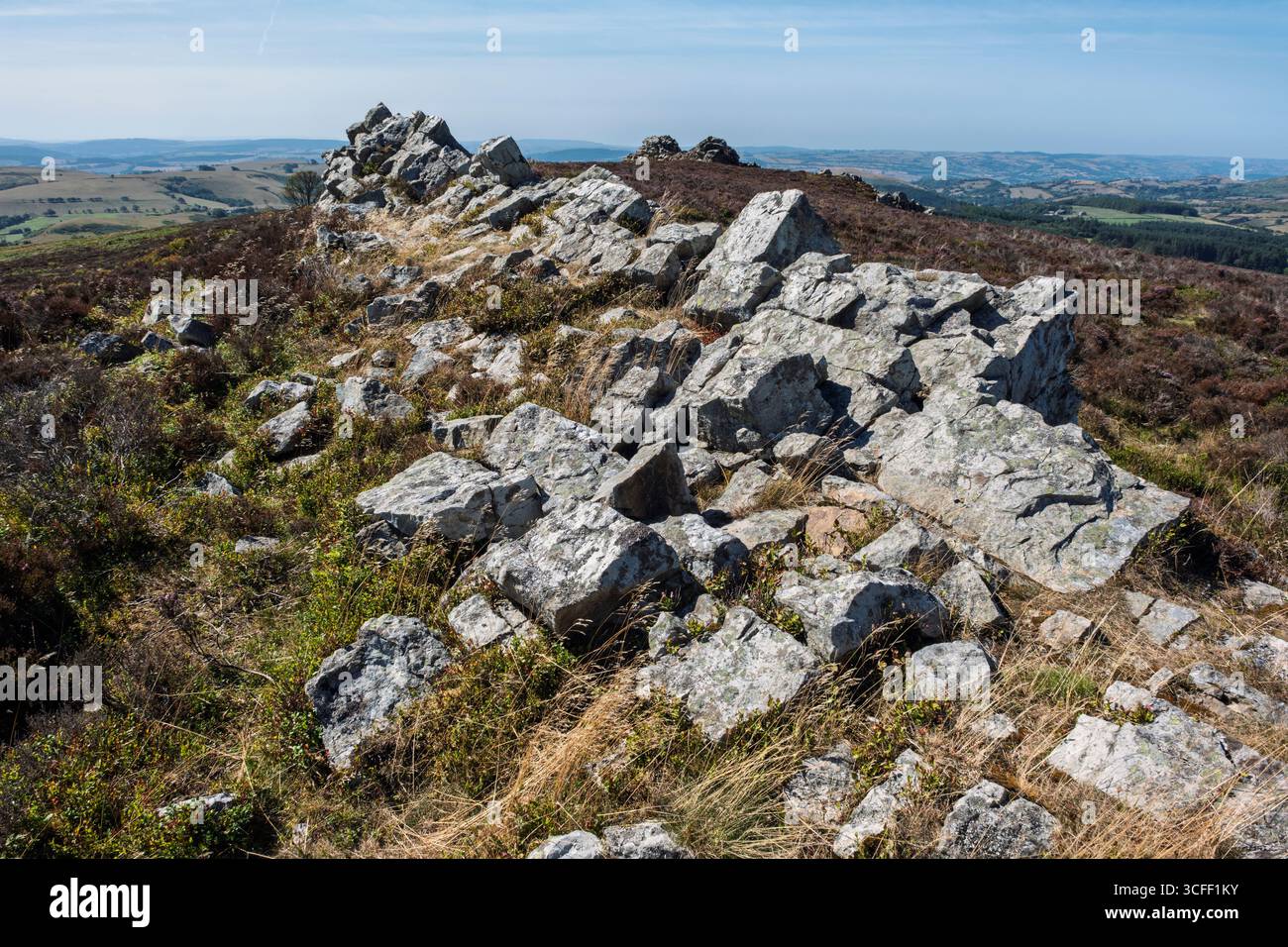 Vue vers Shepherd's Rock, Stiperstones, Shropshire, Angleterre Banque D'Images