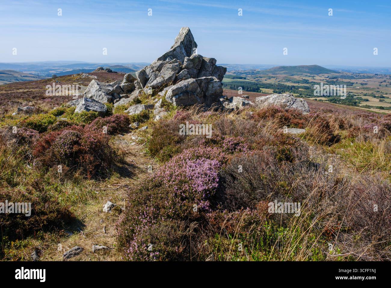 Le Devil's chair, Stiperstones, Shropshire, Angleterre Banque D'Images