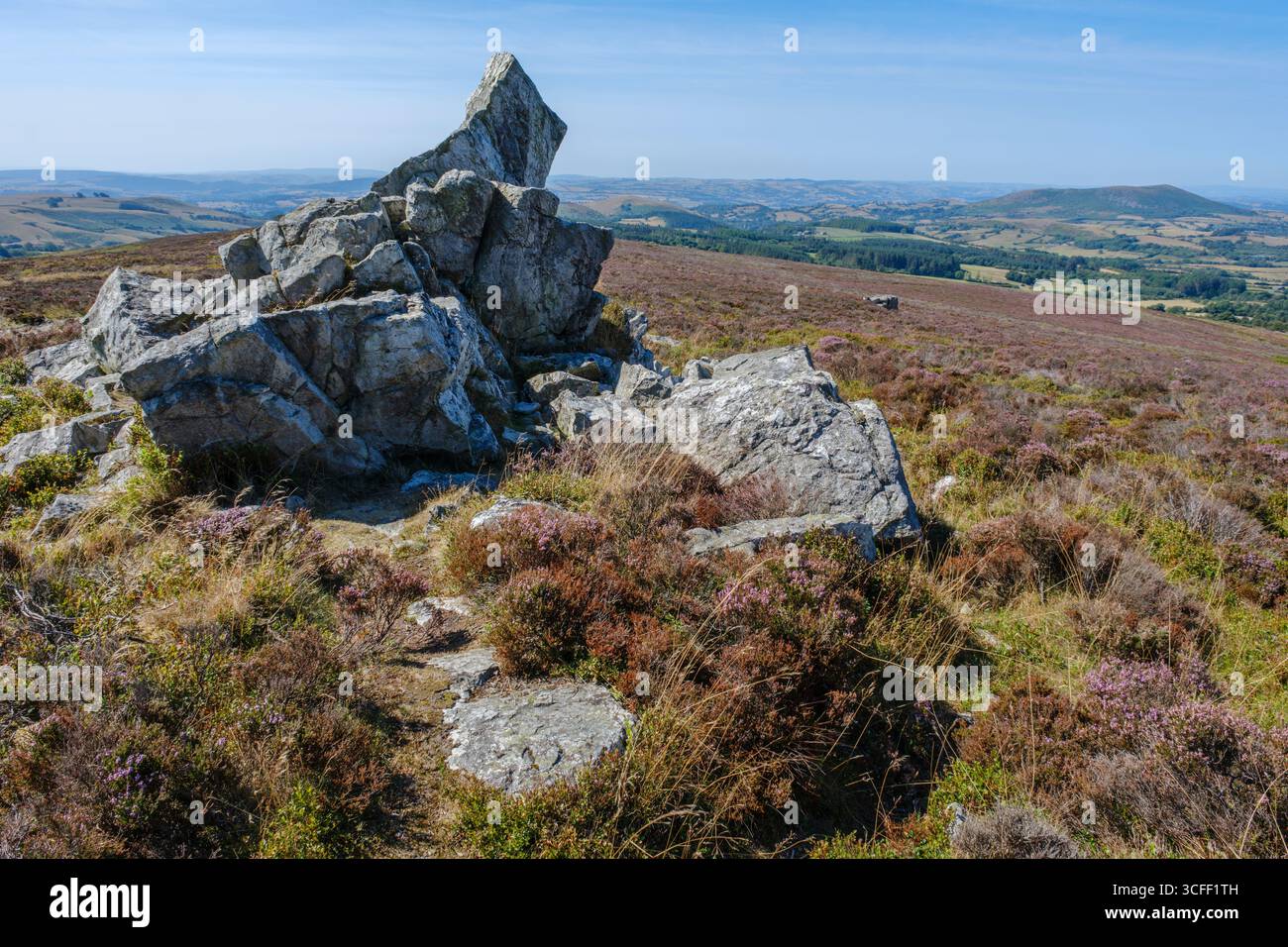 Le Devil's chair, Stiperstones, Shropshire, Angleterre Banque D'Images