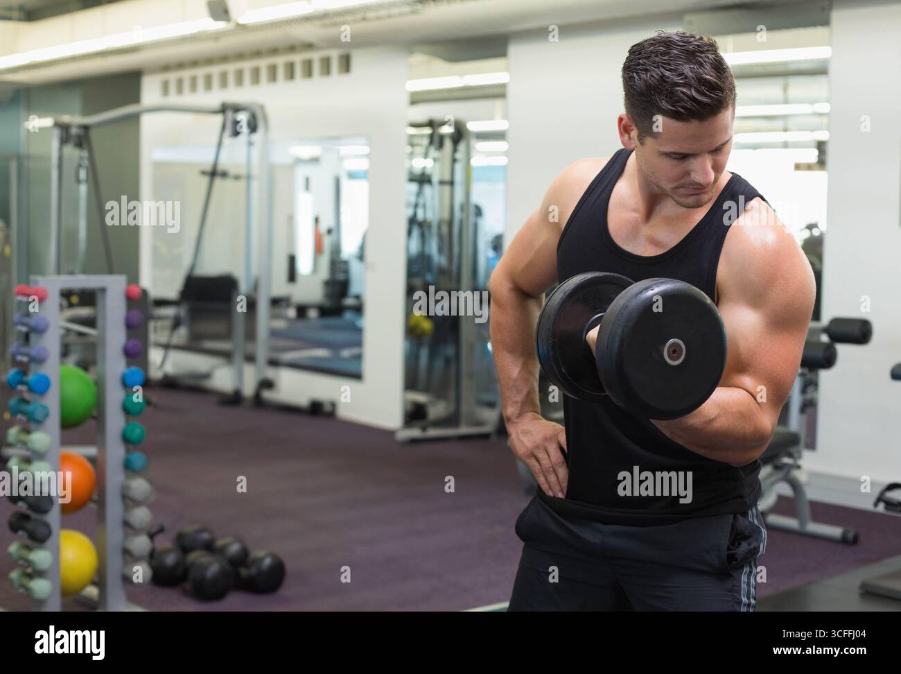 Homme effectuant un curling d'haltères à bras unique dans la salle de gym avec des murs en miroir, rack coloré, espace de copie Banque D'Images