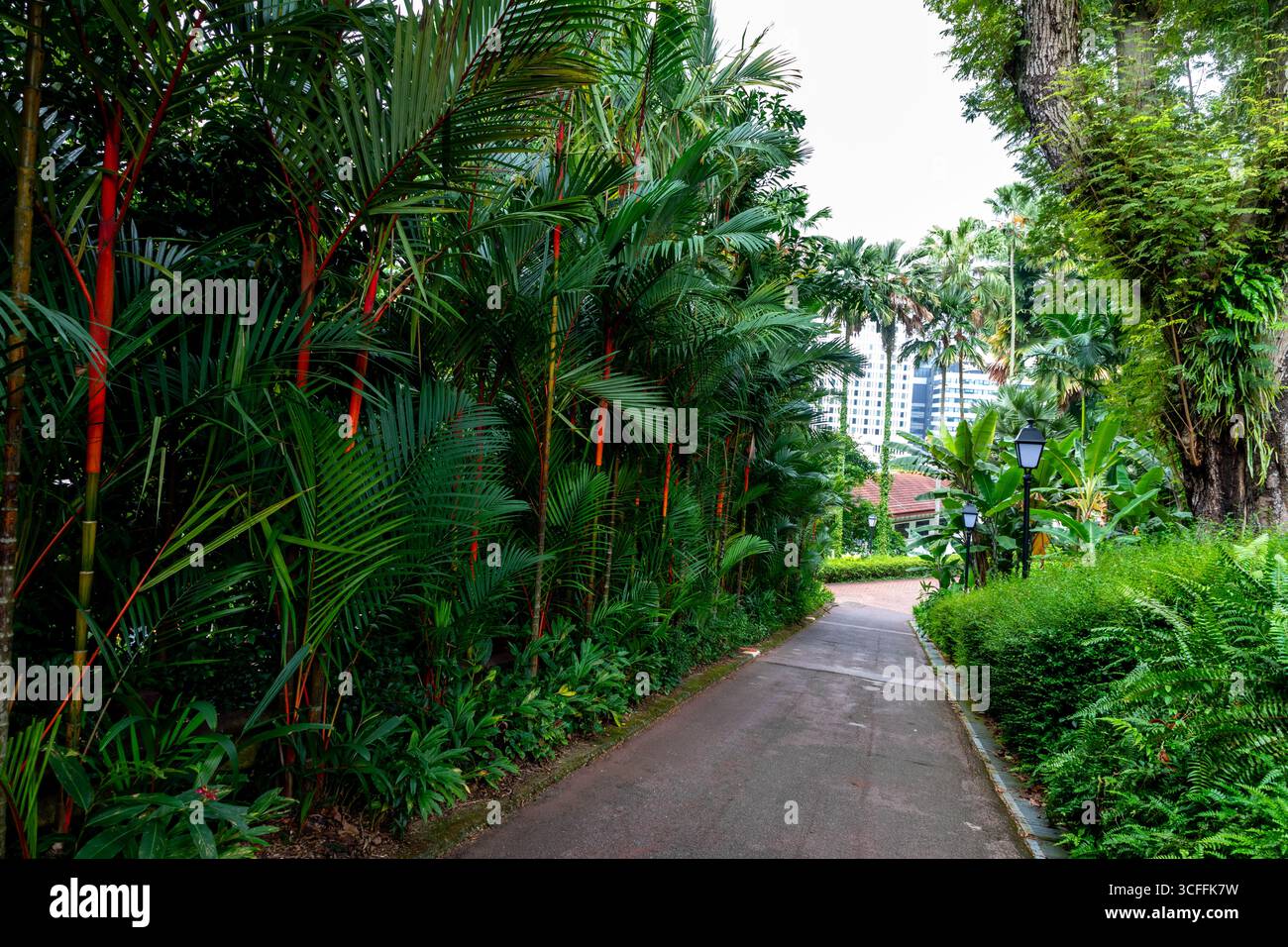 Fort Canning Park. Le parc surplombe Orchard Road et est situé au cœur du quartier civique et culturel de Singapour Banque D'Images