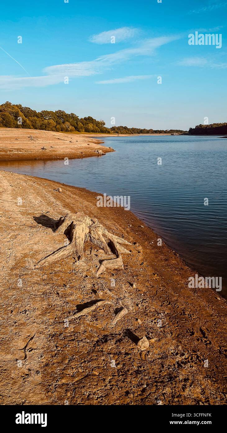 La sécheresse a frappé et aride Ardingly Reservoir Haywards Heath Sussex. 22 août réserve naturelle locale de 2025 74 hectares, après l'été le plus chaud jamais enregistré. - Image de stock capturée avec un smartphone