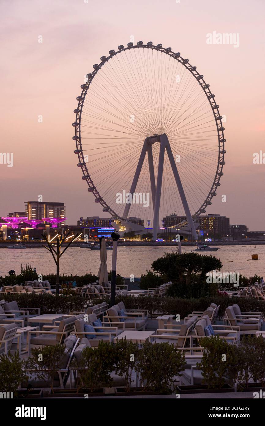 Coucher de soleil sur Ain Dubaï, la plus grande roue d'observation du monde de 250 m de haut sur Bluewaters Island, Dubaï, Émirats arabes Unis Banque D'Images