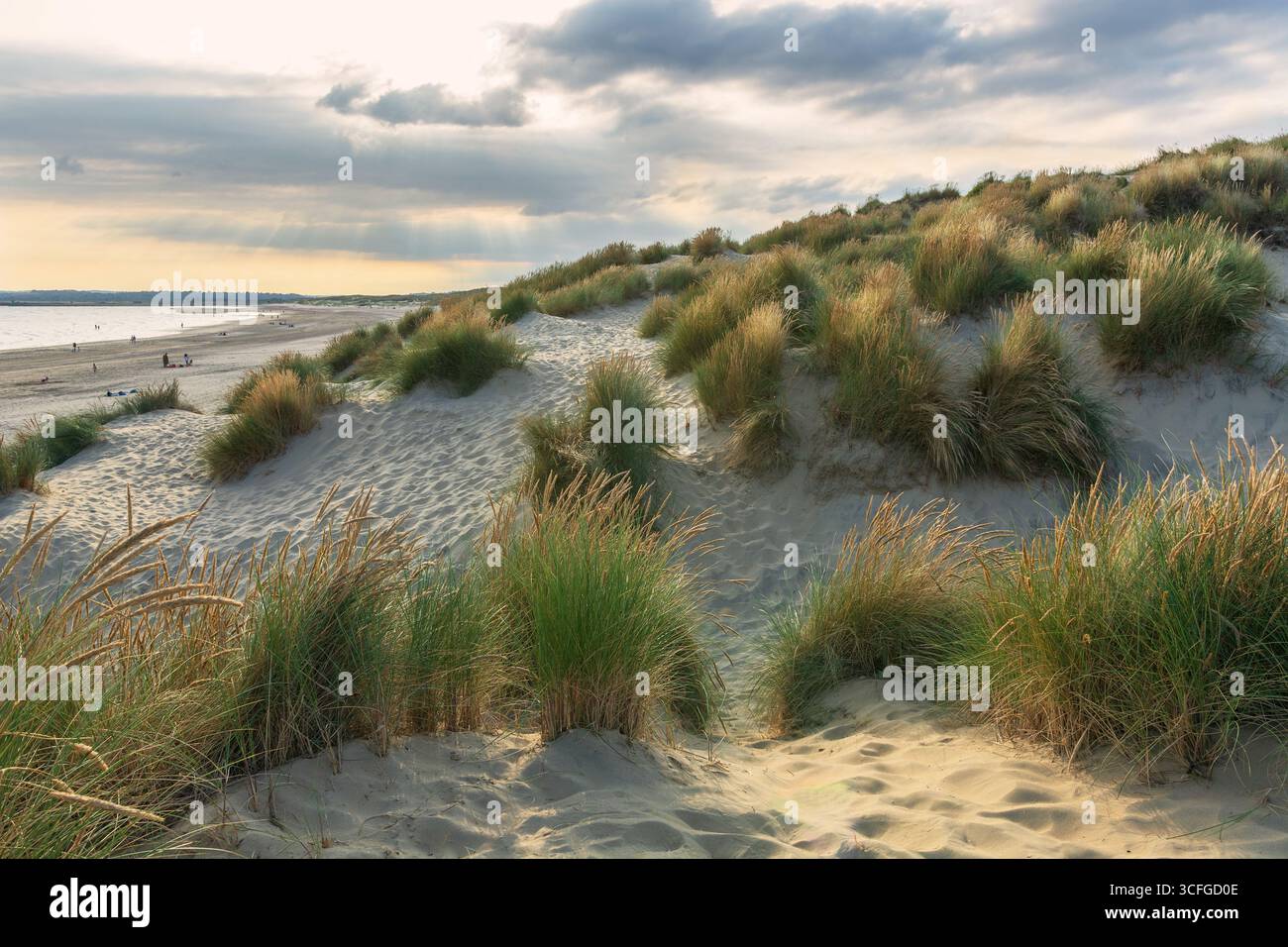 Dunes de Camber Sands au coucher du soleil, East Sussex, Angleterre, Royaume-Uni. Bord de mer anglais. Banque D'Images