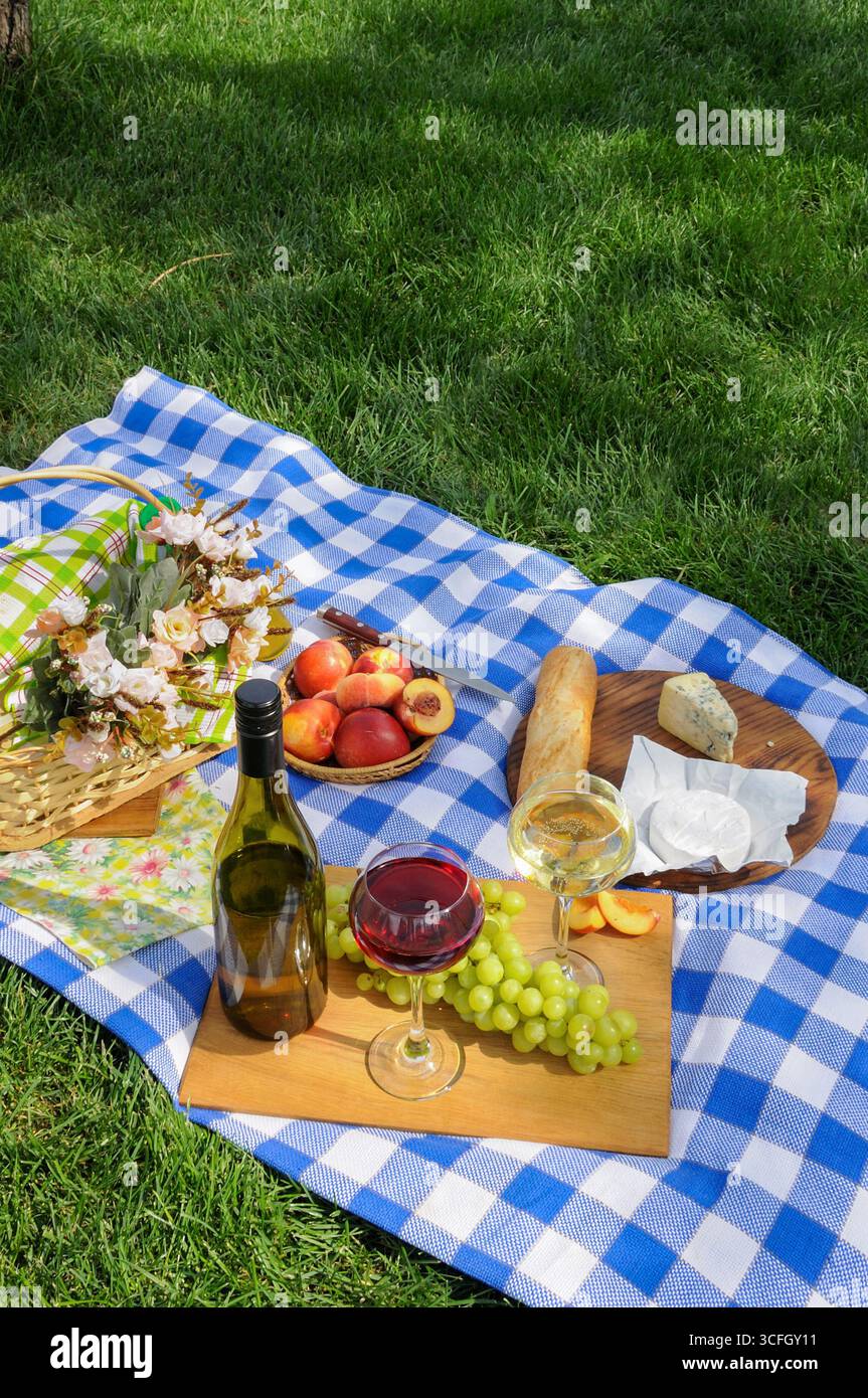 Un pique-nique un jour d'été avec des fruits, du fromage et deux verres de vin sur une couverture à carreaux sur la pelouse Banque D'Images