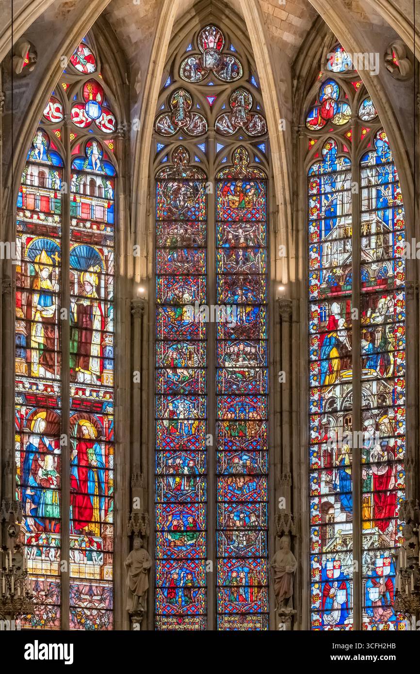 Intérieur de la Cathédrale Nazaire et de la Cathédrale de Saint Celse à Carcassonne, France Banque D'Images