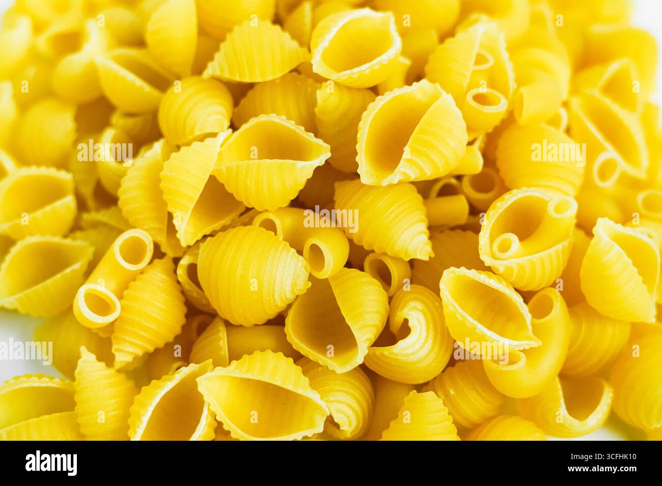Une photographie détaillée et haute résolution en gros plan d'un tas de pâtes conchiglies non cuites. Les pâtes sont jaune vif et les morceaux individuels sont clairs Banque D'Images