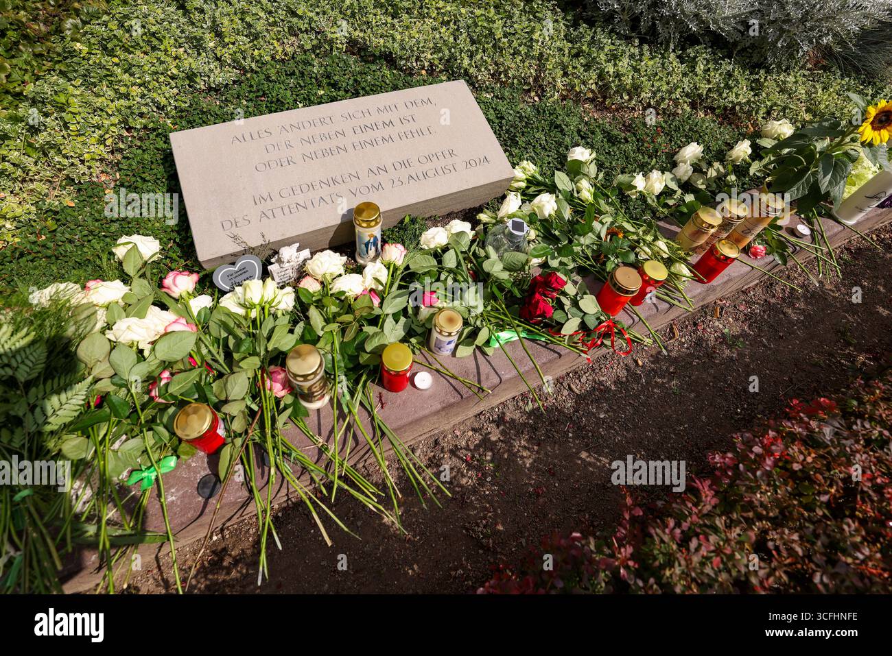 Solingen, Allemagne. 23 août 2025. Des roses blanches et des bougies reposent sur la pierre commémorative des victimes de l'attentat terroriste de Solingen. Crédit : Christoph Reichwein/dpa/Alamy Live News Banque D'Images