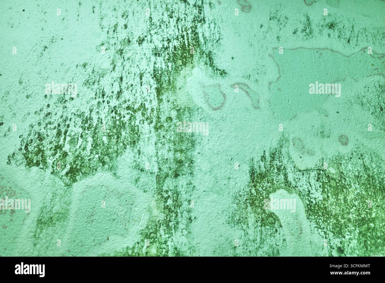 Fond vert grungy abstrait flou. Banque D'Images