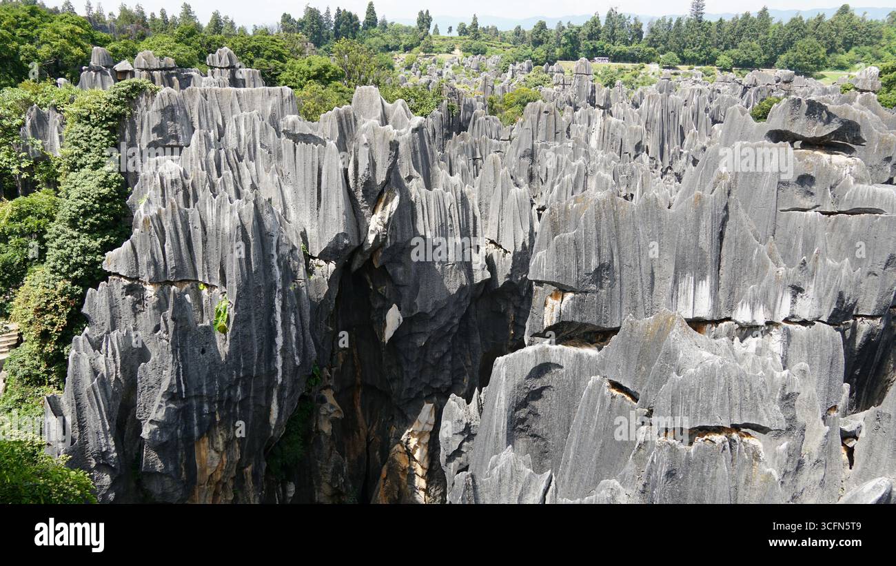 La forêt de pierre (Shilin) dans le Yunnan, en Chine, un paysage karstique de renommée mondiale avec des formations calcaires spectaculaires Banque D'Images