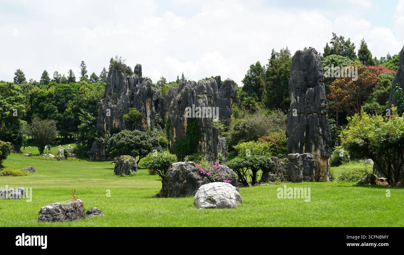 La forêt de pierre (Shilin) dans le Yunnan, en Chine, un paysage karstique de renommée mondiale avec des formations calcaires spectaculaires Banque D'Images