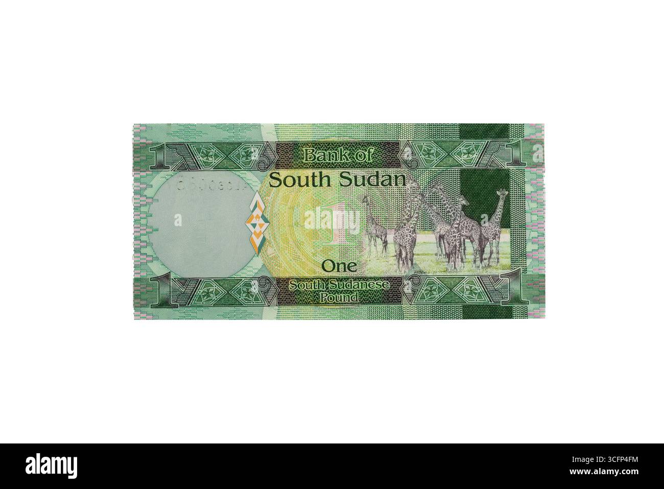 Soudan du Sud 1 livre face arrière du billet avec girafes Banque D'Images