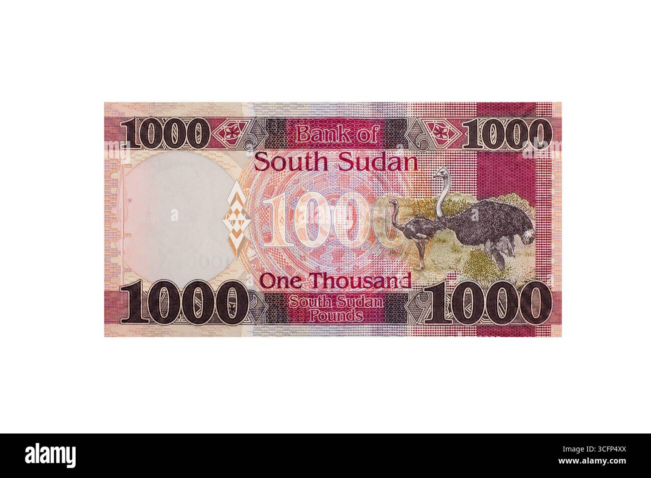 Soudan du Sud billet de banque de 1000 livres en devise avec autruches Banque D'Images