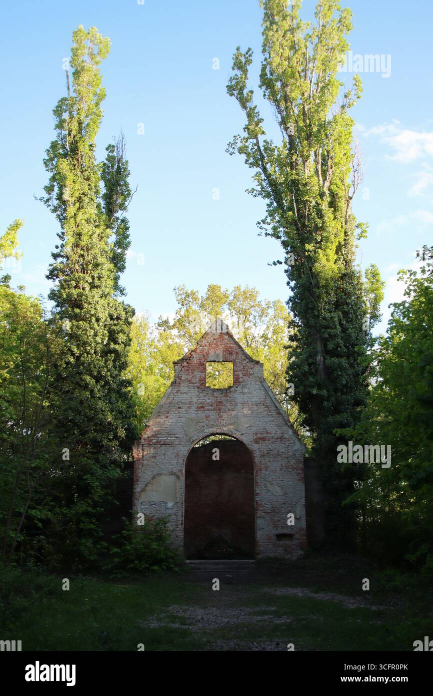 ruine d'église cachée dans un vieux cimetière. Banque D'Images