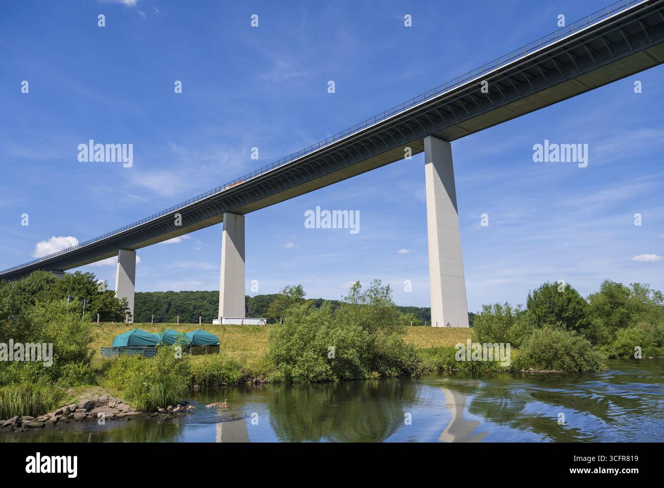 Pont autoroutier A 52 au-dessus de la Ruhr, par le bas, les oies du Nil avec des jeunes sur l'eau, Muelheim an der Ruhr, région de Rur, Rhénanie du Nord-Westphalie, Allemagne Banque D'Images Pont autoroutier A 52 au-dessus de la Ruhr, par le bas, les oies du Nil avec des jeunes sur l'eau, Muelheim an der Ruhr, région de Rur, Rhénanie du Nord-Westphalie, Allemagne Banque D'Images