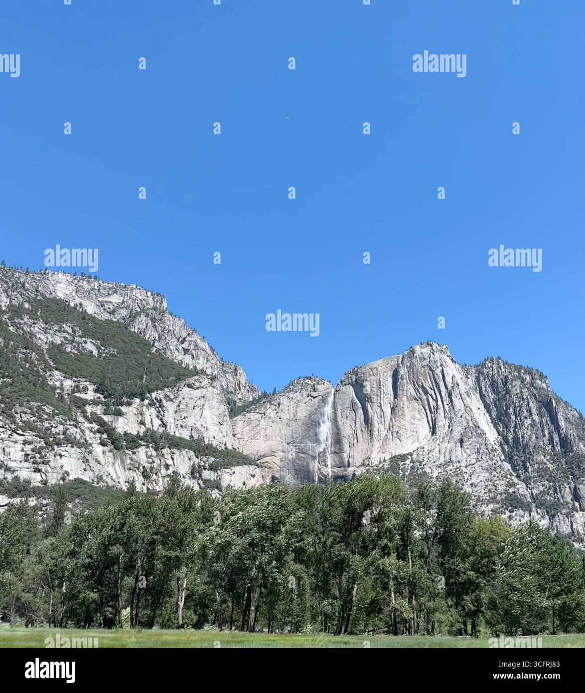 Une vue lointaine des chutes de Yosemite descendant les falaises de granit au-dessus des forêts de pins et des prairies ouvertes dans la vallée de Yosemite, Californie, États-Unis. - Image de stock capturée avec un smartphone
