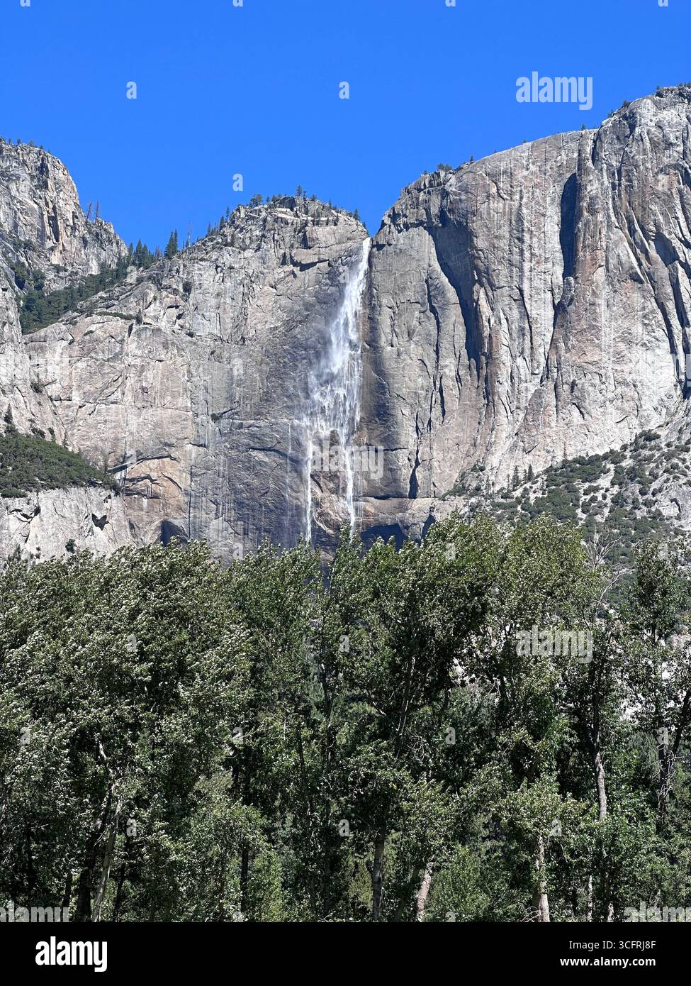 Une vue lointaine des chutes de Yosemite descendant les falaises de granit au-dessus des forêts de pins et des prairies ouvertes dans la vallée de Yosemite, Californie, États-Unis. - Image de stock capturée avec un smartphone