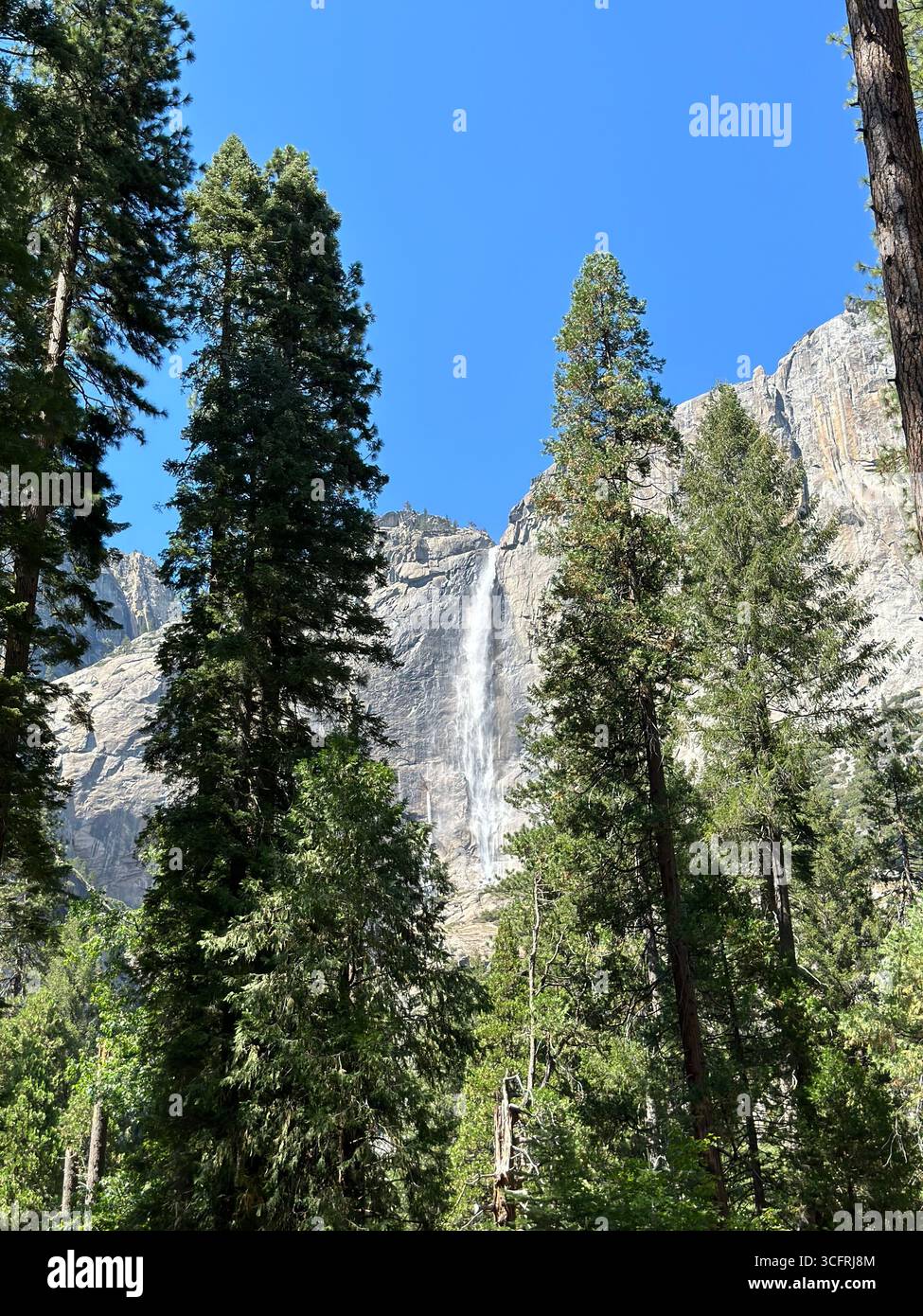 Une vue lointaine des chutes de Yosemite descendant les falaises de granit au-dessus des forêts de pins et des prairies ouvertes dans la vallée de Yosemite, Californie, États-Unis. - Image de stock capturée avec un smartphone