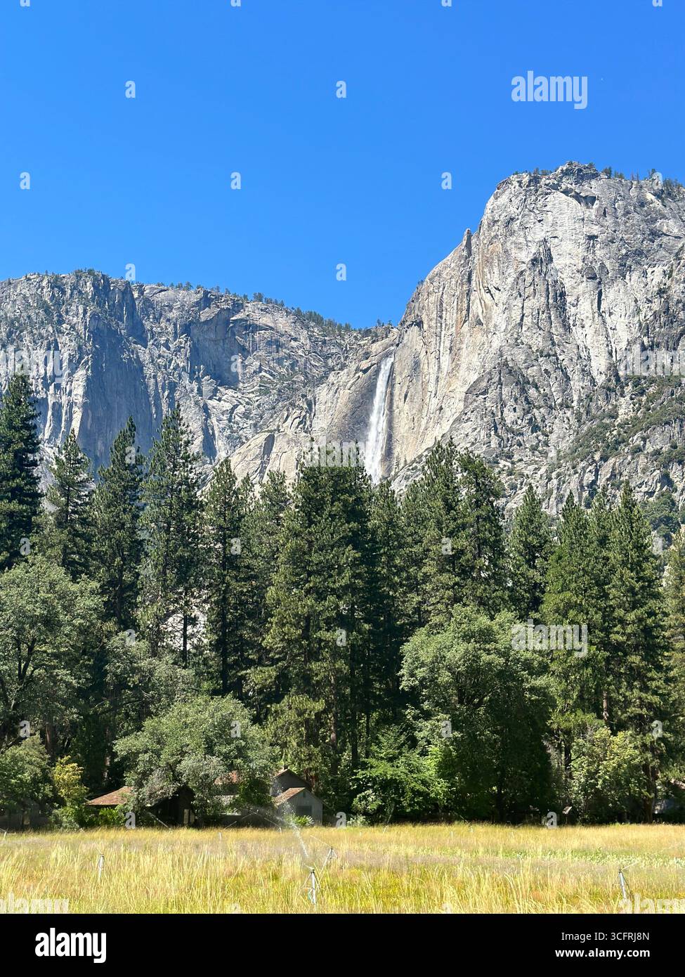 Une vue lointaine des chutes de Yosemite descendant les falaises de granit au-dessus des forêts de pins et des prairies ouvertes dans la vallée de Yosemite, Californie, États-Unis. - Image de stock capturée avec un smartphone
