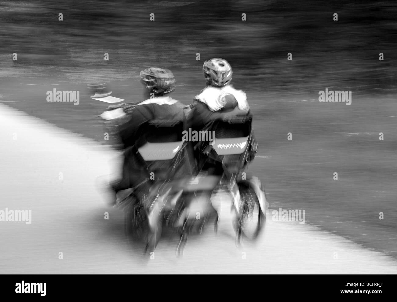 24.08.2025, Spaziergang in Wald Fuerstenried West Muenchen, im Bild : Radfahrer in Fuestenrieder Wald *** 24 08 2025, promenade dans la forêt Fuerstenried West Munich, dans la photo cycliste in Fuestenrieder Forest Banque D'Images