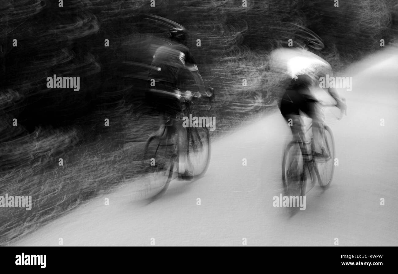 24.08.2025, Spaziergang in Wald Fuerstenried West Muenchen, im Bild : Radfahrer in Fuestenrieder Wald *** 24 08 2025, promenade dans la forêt Fuerstenried West Munich, dans la photo cycliste in Fuestenrieder Forest Banque D'Images