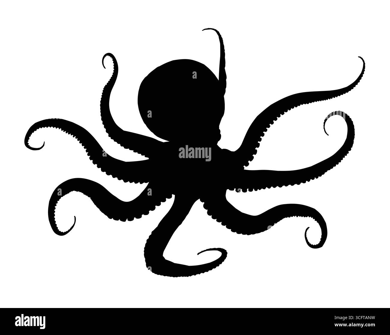 La silhouette d'une grosse pieuvre. Illustration de Vecteur