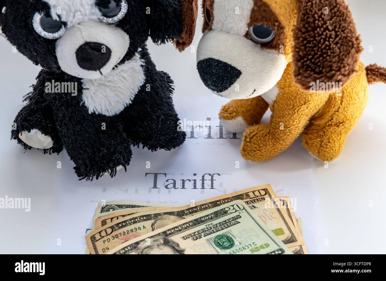 Peluche pelucheuse et pile de billets en dollars américains isolés sur blanc avec le mot imprimé tarif. Un concept de tarif de jouet américain. Banque D'Images