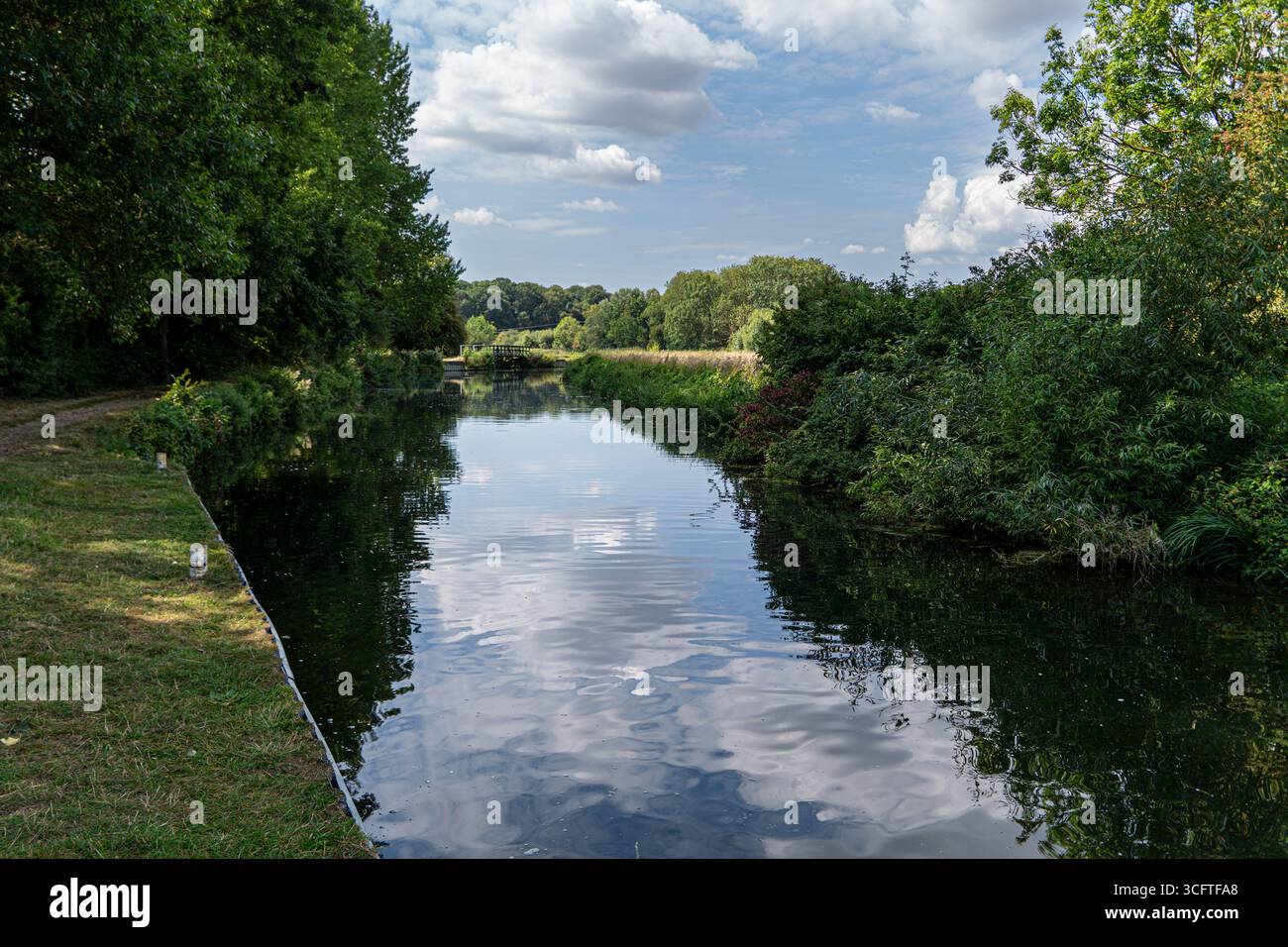 Scène estivale lumineuse d'écluses de canal, roseaux et surface miroitante Banque D'Images