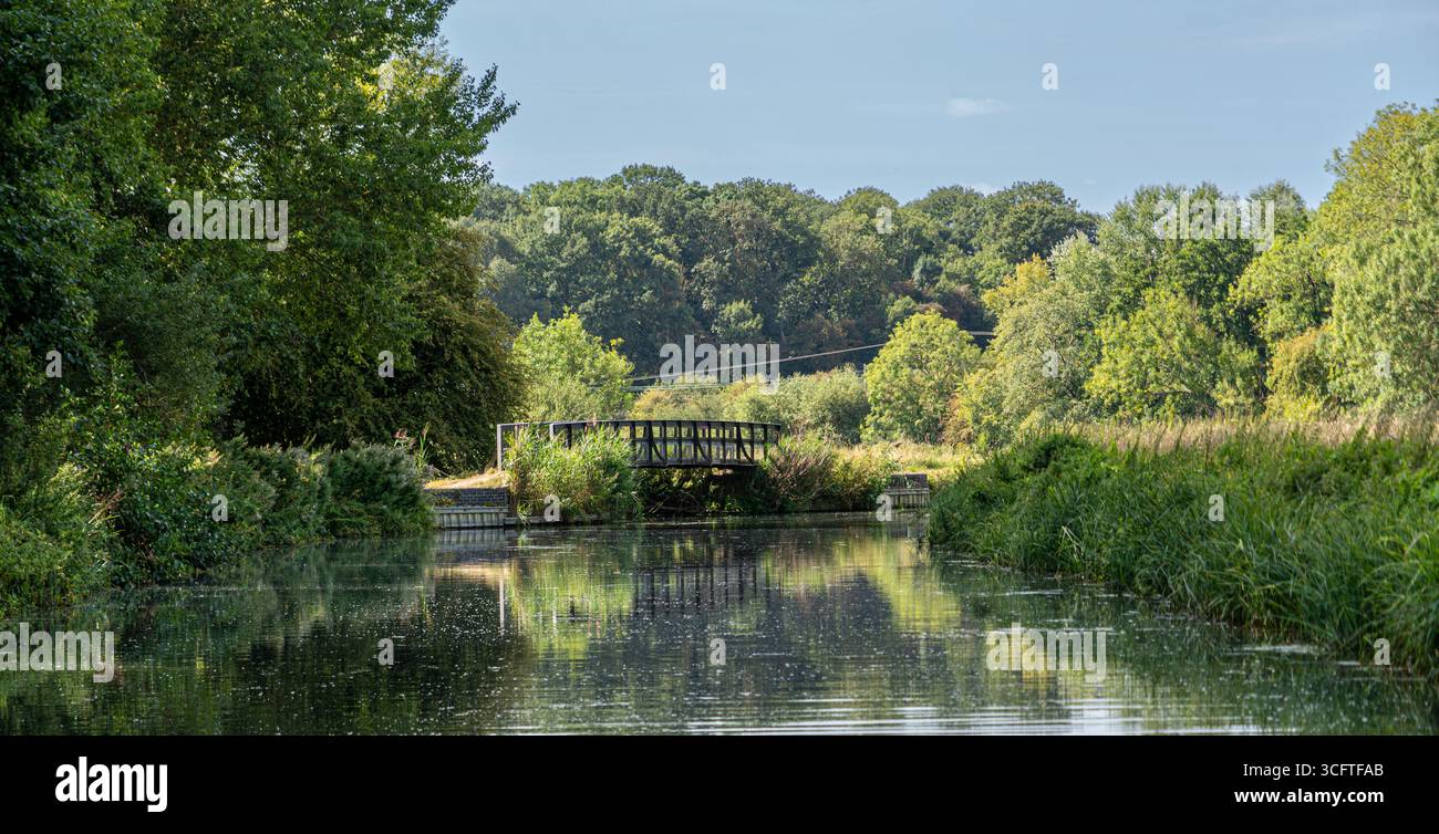 Scène estivale lumineuse d'écluses de canal, roseaux et surface miroitante Banque D'Images