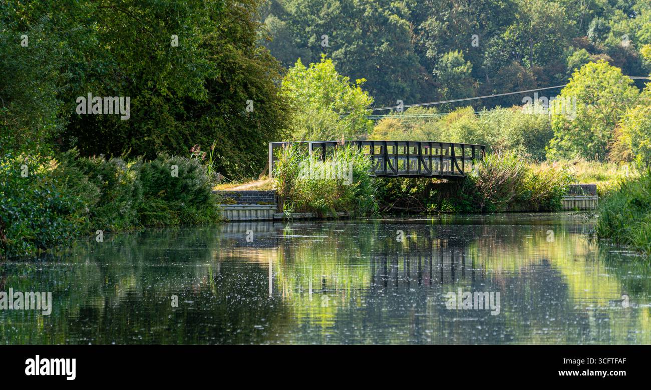 Scène estivale lumineuse d'écluses de canal, roseaux et surface miroitante Banque D'Images