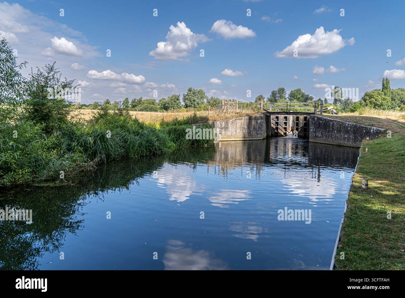 Scène estivale lumineuse d'écluses de canal, roseaux et surface miroitante Banque D'Images