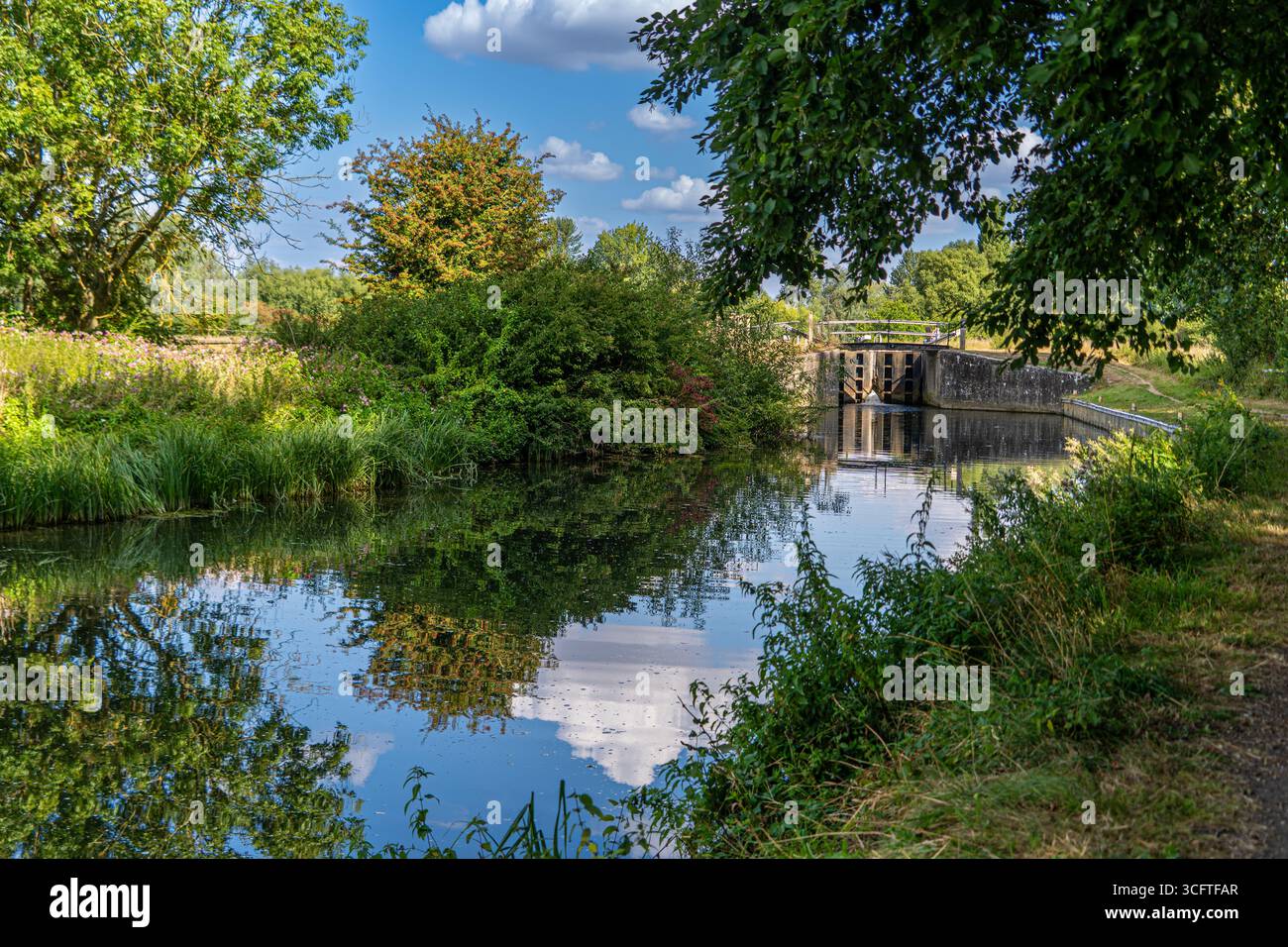 Scène estivale lumineuse d'écluses de canal, roseaux et surface miroitante Banque D'Images