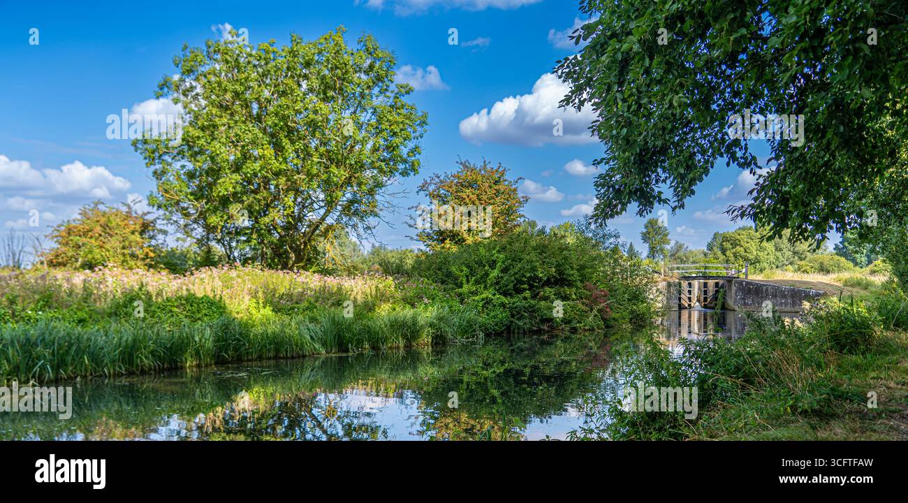 Scène estivale lumineuse d'écluses de canal, roseaux et surface miroitante Banque D'Images
