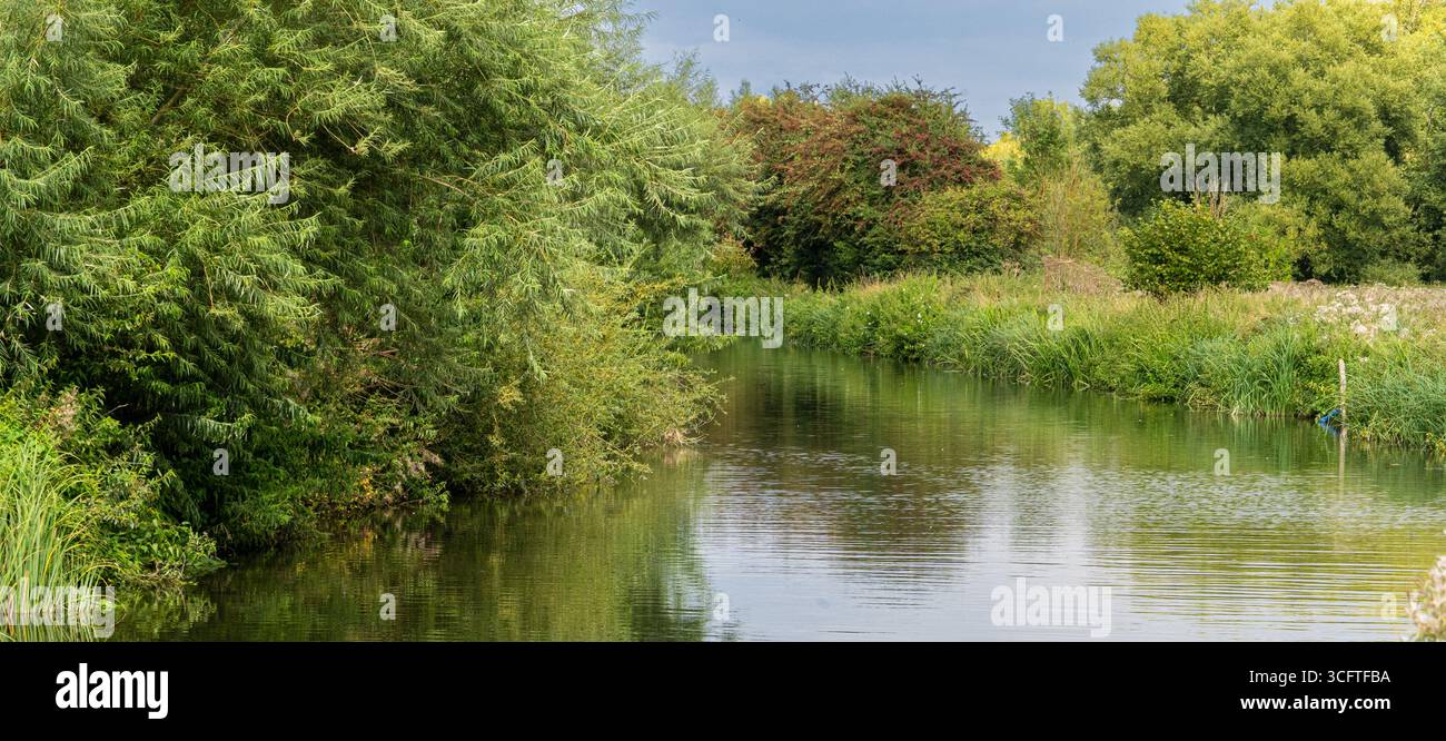 Scène estivale lumineuse d'écluses de canal, roseaux et surface miroitante Banque D'Images