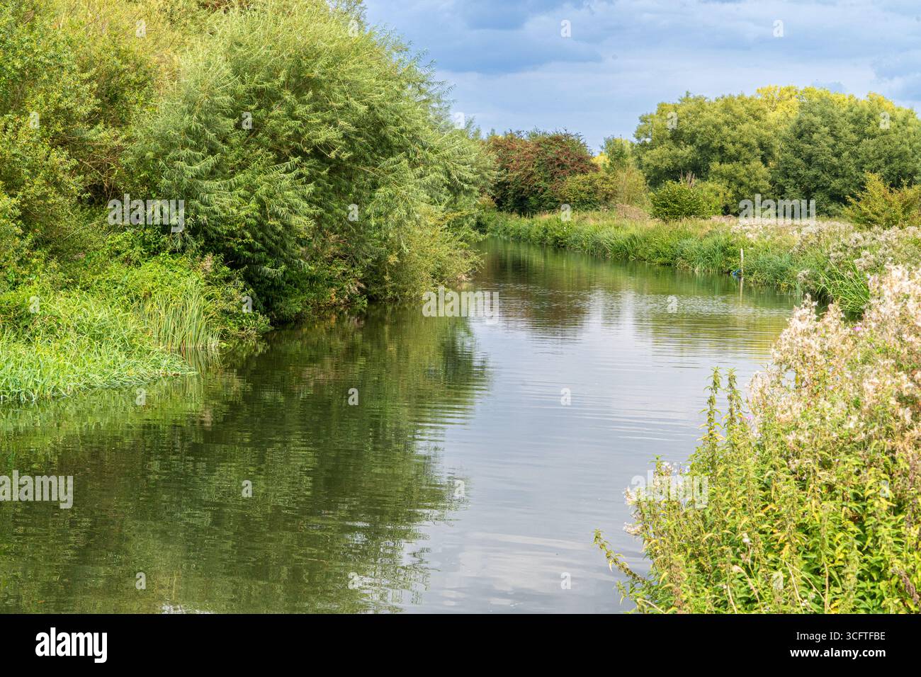 Scène estivale lumineuse d'écluses de canal, roseaux et surface miroitante Banque D'Images